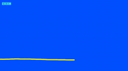 دیپ دپ (گل ها)